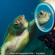 Illustration for article titled The Best Underwater Photographs of 2016 Are Out of This World